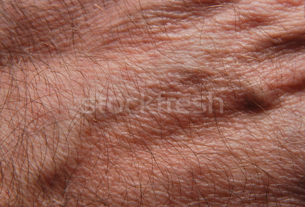Human skin Stock photo © simazoran
