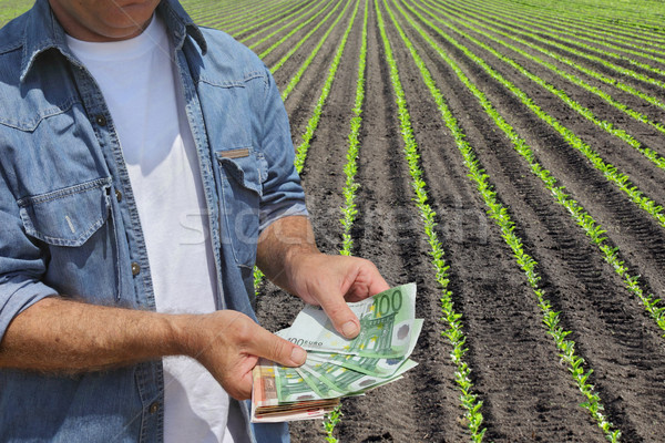 Mezőgazdasági gazda pénz mező tart Euro Stock fotó © simazoran