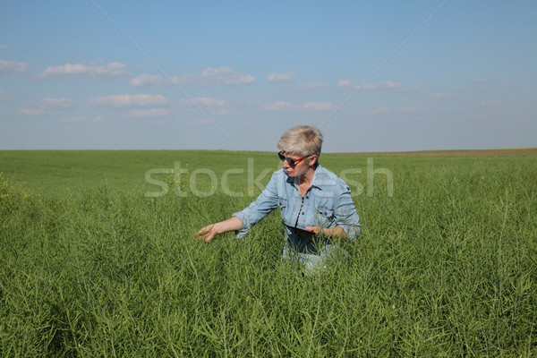 Female farmer inspecting rapeseed crop in field Stock photo © simazoran