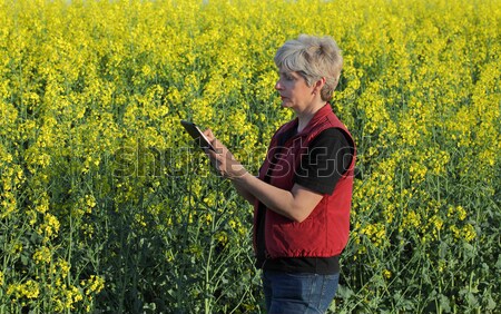 [[stock_photo]]: Agronomie · Homme · agricole · expert · qualité · olivier