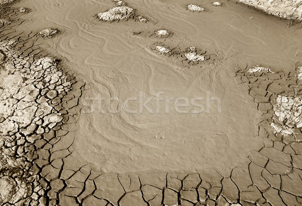 Błoto żółty krajobraz dziedzinie rzeki Zdjęcia stock © simazoran