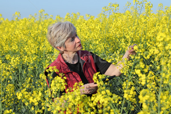 Farmer or agronomist in blossoming rapeseed field Stock photo © simazoran