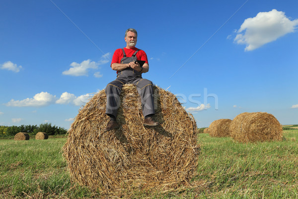 Farmer and bale of hay in field Stock photo © simazoran