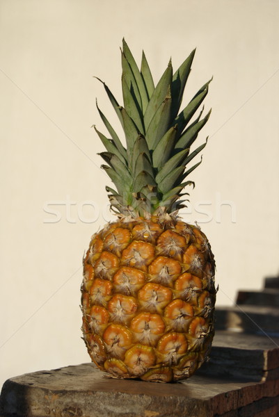 Stock photo: Pineapple