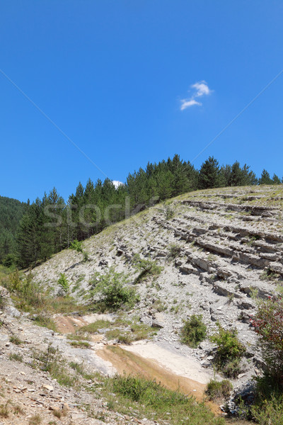Mountain Landscape Stock photo © simazoran