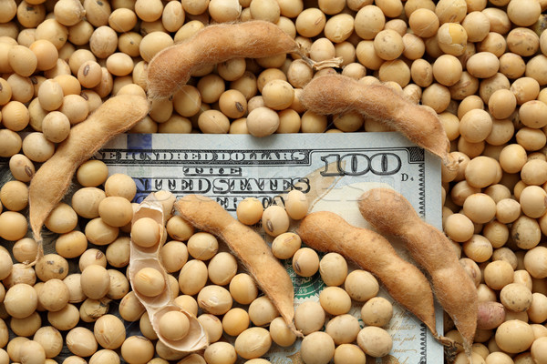 ストックフォト: 農業の · 大豆 · お金 · 大豆 · 豆