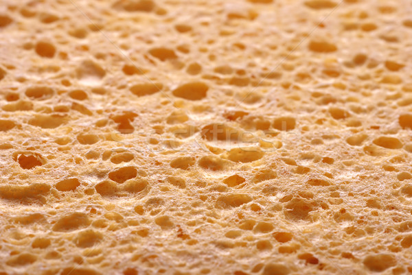 Sponge Stock photo © simazoran