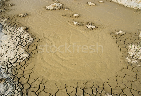 Lama amarelo paisagem campo solo Foto stock © simazoran