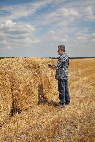 Stockfoto: Landbouwer · onderzoeken · oogst · tablet · baal