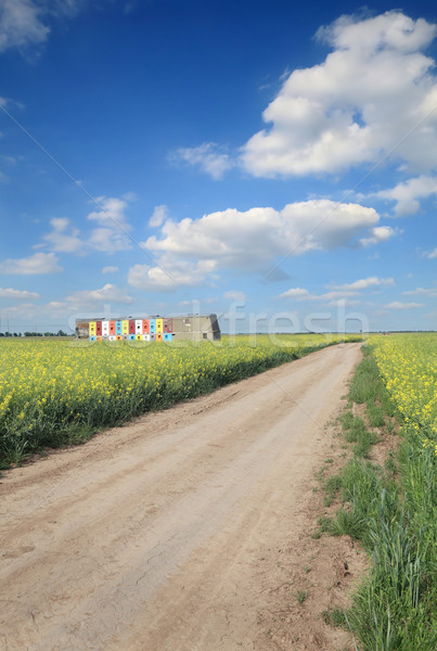 Agricultura estrada rural campo abelha paisagem Foto stock © simazoran