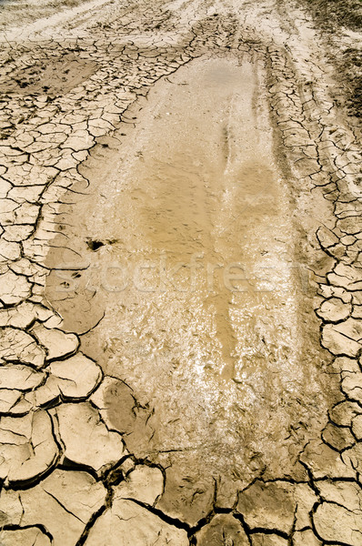 Drought Stock photo © simazoran