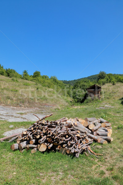 Brandhout hoop berg Servië Europa hout Stockfoto © simazoran