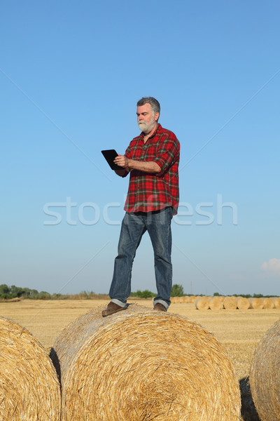 Farmer examining wheat field after harvest using tablet Stock photo © simazoran