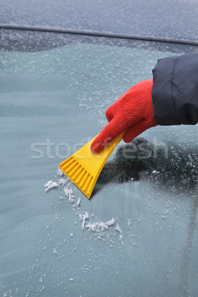 Hielo limpieza parabrisas mano humana guante Foto stock © simazoran