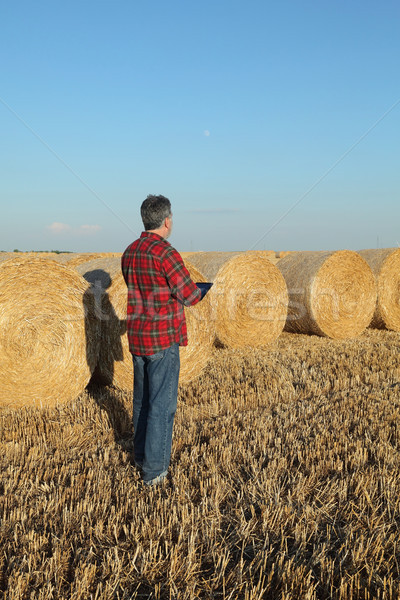 Farmer examining wheat field after harvest using tablet Stock photo © simazoran
