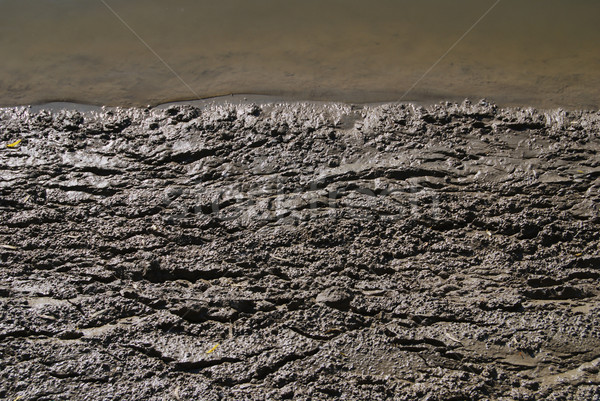 Modder achtergrond rivier zwarte vuil Stockfoto © simazoran