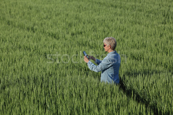 [[stock_photo]]: Agriculture · agriculteur · blé · usine · domaine