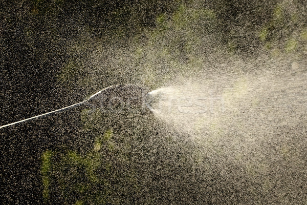 Orchard spraying in spring, drops in contra light Stock photo © simazoran