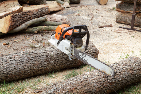 木材 電鋸 堆 木 森林 工作 商業照片 © simazoran