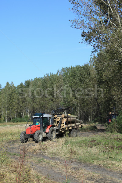Kereste sanayi taşımacılık kesmek ahşap traktör Stok fotoğraf © simazoran