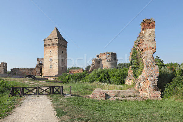 Fortezza Serbia Europa medievale distrutto Foto d'archivio © simazoran