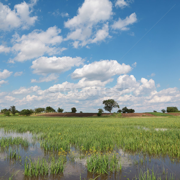 Rural area Stock photo © simazoran