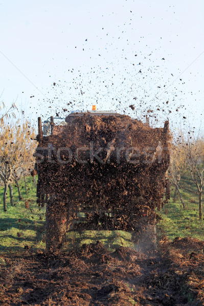 Agricoltura mucca trattore percorso nocciola Foto d'archivio © simazoran