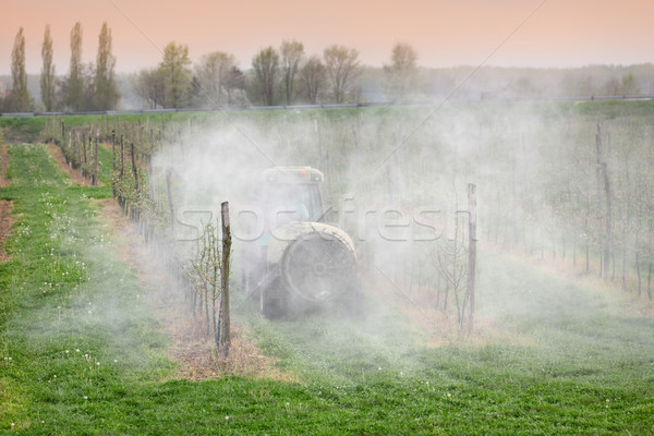 Agriculture, spraying of trees Stock photo © simazoran