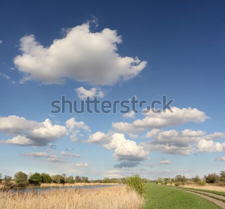 Marsh landscape Stock photo © simazoran