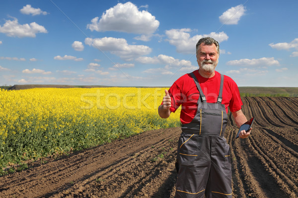 Farmer or agronomist in blossoming rapeseed field Stock photo © simazoran