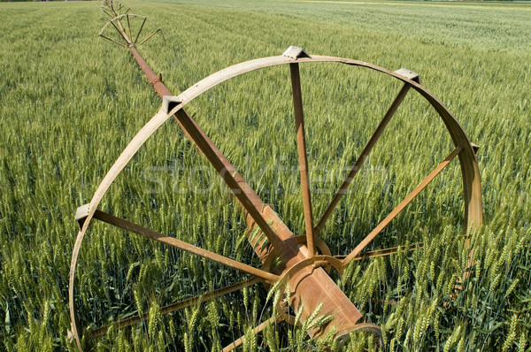 Eau fournir vert irrigation printemps [[stock_photo]] © simazoran