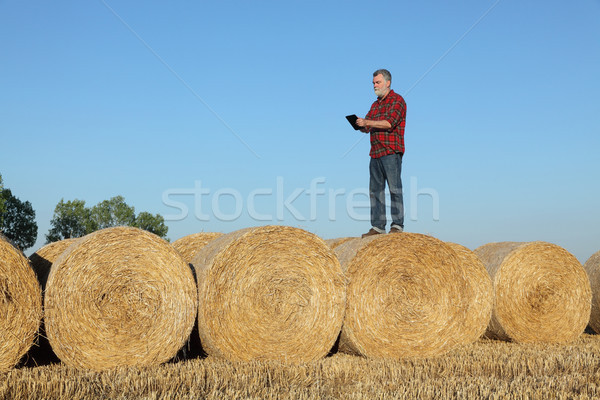 Farmer examining wheat field after harvest using tablet Stock photo © simazoran