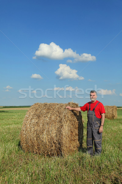 Stok fotoğraf: çiftçi · balya · saman · alan · erken · yaz