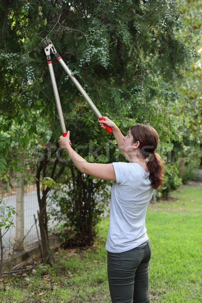 Gardening activity Stock photo © simazoran