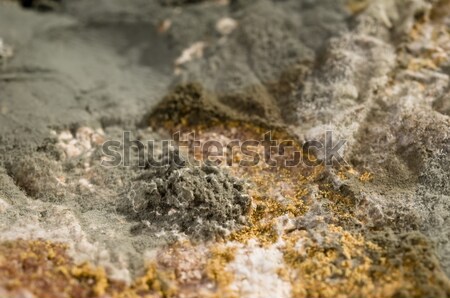 Stock photo: Mould