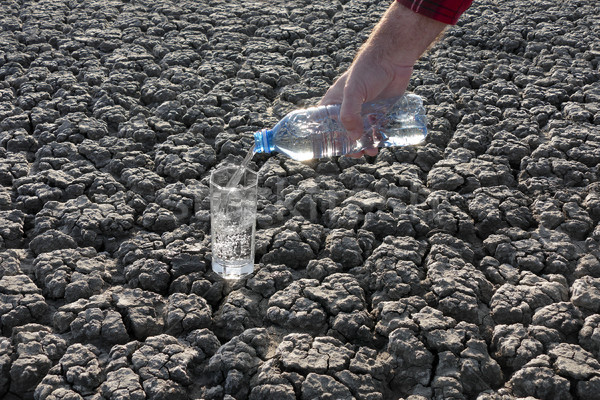 Water to glass pouring at dry ground Stock photo © simazoran