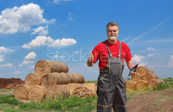 Farmer and bale of hay in field Stock photo © simazoran