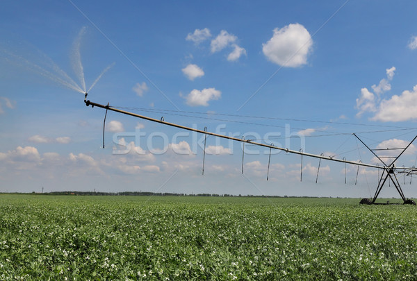 [[stock_photo]]: Domaine · irrigation · eau · fournir · printemps