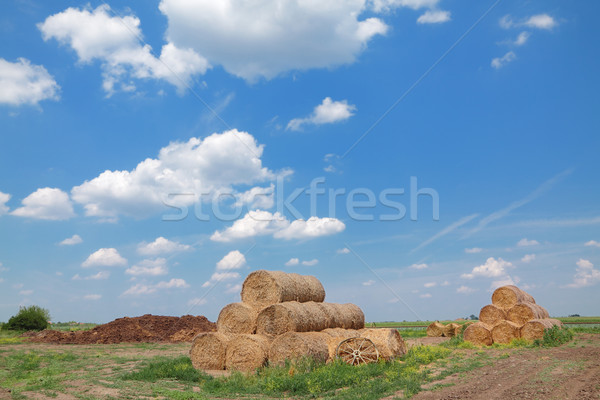 Ländlichen gerollt Stroh Ernte blauer Himmel Stock foto © simazoran