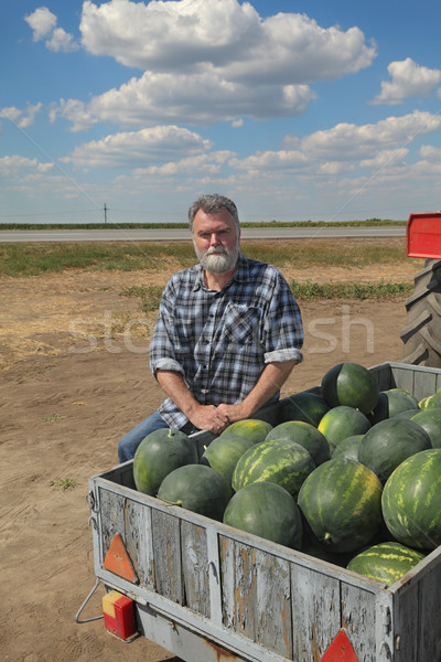 Agricultor mercado sesión alimentos Foto stock © simazoran