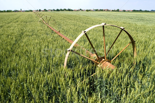 Eau fournir vert irrigation printemps [[stock_photo]] © simazoran