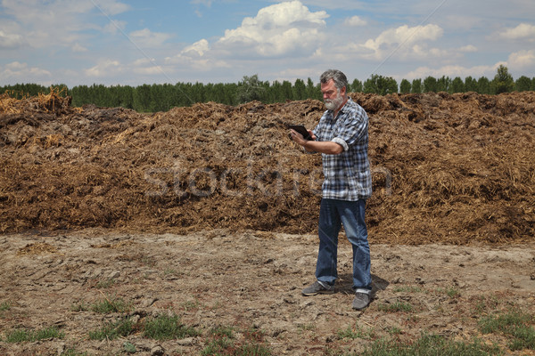 Természetes műtrágya tehén mező gazda megvizsgál Stock fotó © simazoran