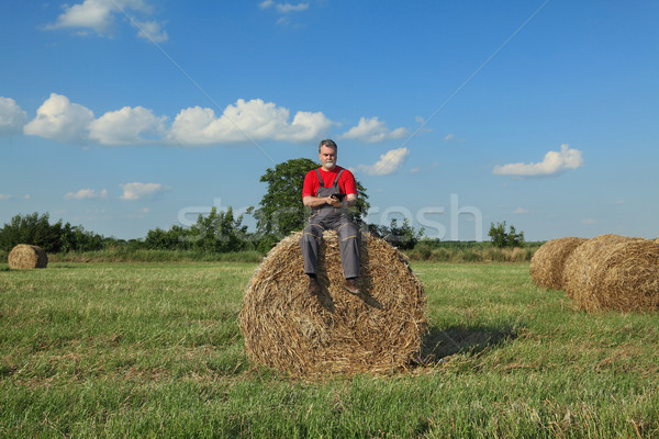 Farmer and bale of hay in field Stock photo © simazoran