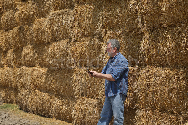 Farmer and bale of straw in field Stock photo © simazoran