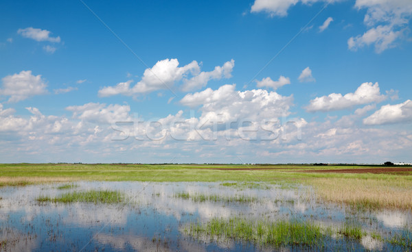 Peisaj cultivat teren frumos cer apă Imagine de stoc © simazoran