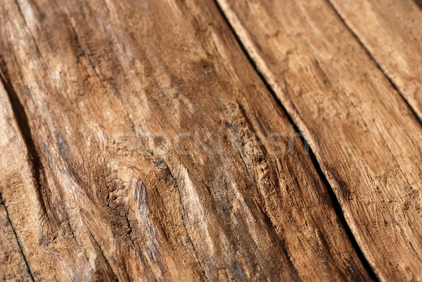 Stock photo: Old wood