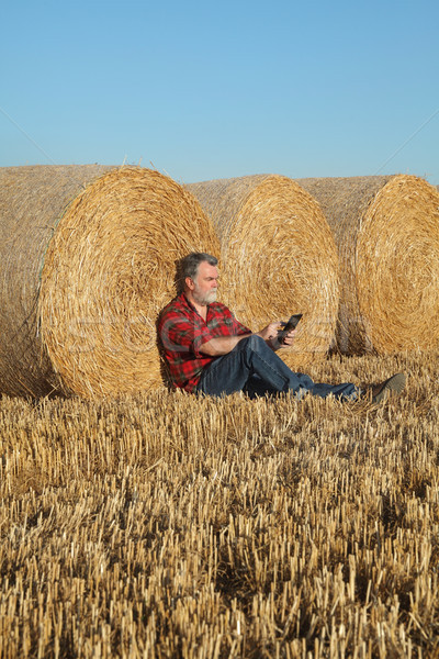 Farmer examining wheat field after harvest using tablet Stock photo © simazoran