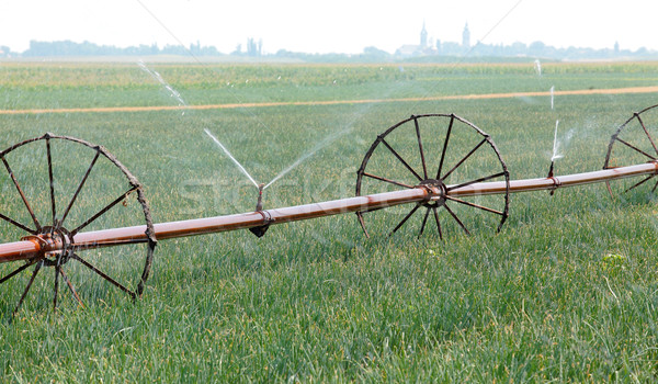 Domaine irrigation eau fournir oignon [[stock_photo]] © simazoran