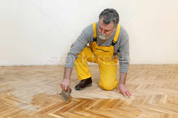Home renovation, oak parquet varnishing finish Stock photo © simazoran