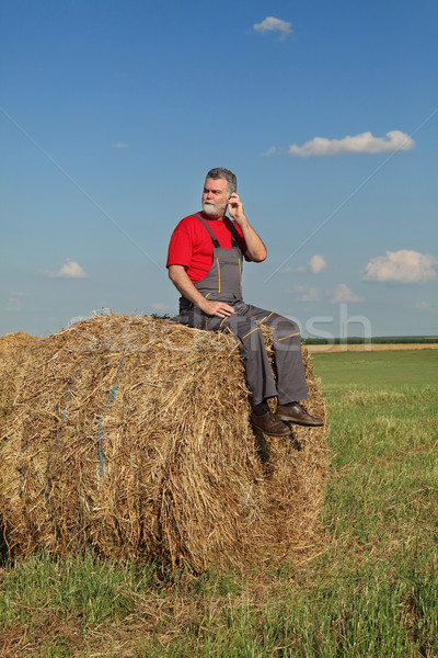 çiftçi balya saman alan oturma cep telefonu Stok fotoğraf © simazoran